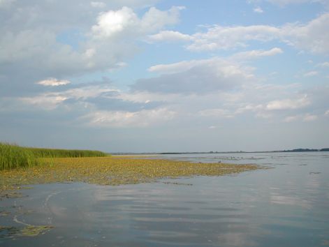 dscn1377.jpg