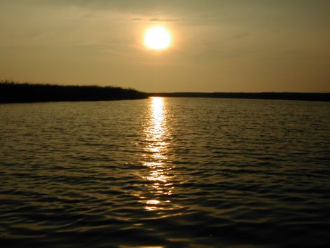 dscn5216.jpg