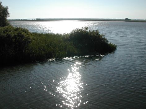 dscn5556.jpg